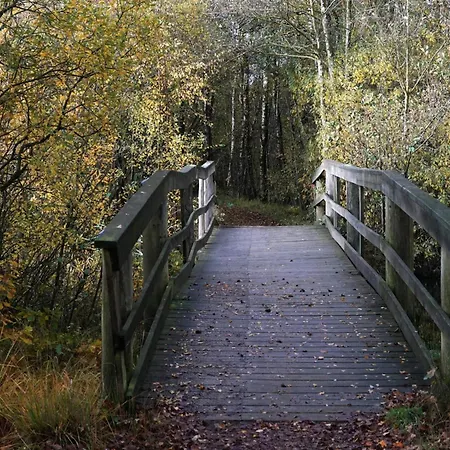 Vakantiehuis Luxury Lakeside Retreat-by Traum