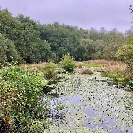 Luxury Lakeside Retreat-by Traum * Ansager