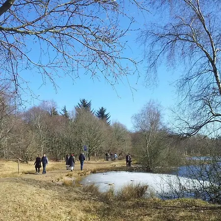 Luxury Lakeside Retreat-by Traum * Ansager