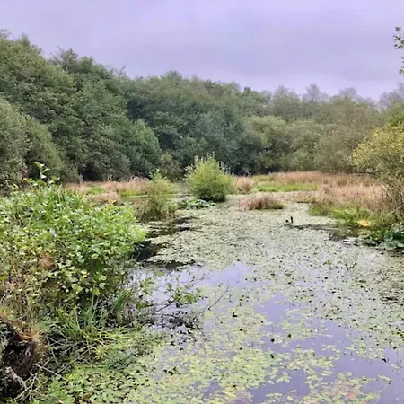 Luxury Lakeside Retreat-by Traum Σπίτι διακοπών