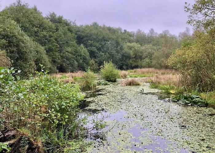Luxury Lakeside Retreat-by Traum * Ansager