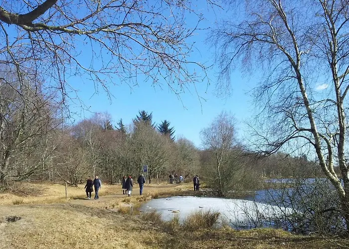 Luxury Lakeside Retreat-by Traum * Ansager